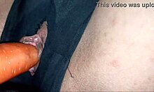 teacher fucks student's mouth and pussy