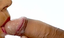 The Japanese Girl Next Door's Secret Adventures