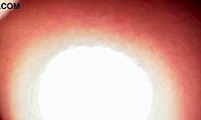 Intense creampie by the campfire