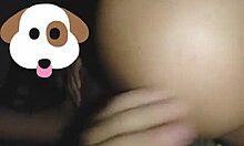 Amateurs Wet Cute Brunette Gets Assfucked and Gaping Anal