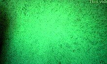 Panties Try On Haul Thong Only Ass Shaking Teasing Free