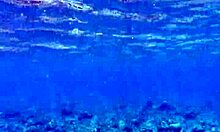 beauty, check out this huge dead dick dildo speech