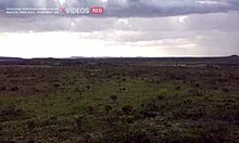 watch this latina deepthroat a monster cock