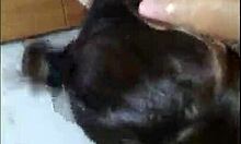 The first amateur video in the series