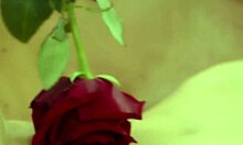 Freya Mayer Explores Her Erotic Side With Her Lover On Valentines Day - Whiteboxxx