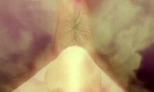 alice farts under witch?