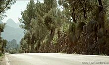 A PUSSY FINGERING AND LICKING SESSION!