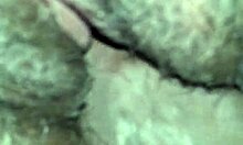 Intimate Moments With Girlfriend In Homemade Setting