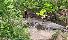 Forest Fuck with Big Ass Friend Screaming Loud in Homemade Clip