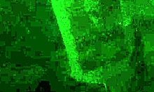 Check out this cute teen's sexy twerking ass 😘