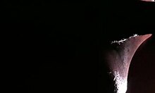 fucking horny hotwife in doggystyle creampie action 😈