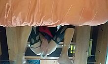 Latina Travesti Fully Penetrates New Toy's Tight Asshole.