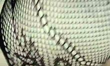 finally, my wife's friend gave in to my desires