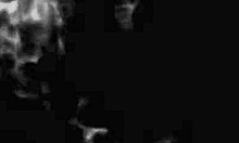 Blogger Slut Offers Pussy to Technician and Cums on Big Black Cock