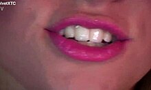 Glazed Bentley - Introduction