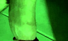 Close-Up Solo View of Newly Trimmed Hairless Pussy and Monster Cock