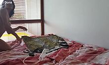 lexidona pumps her swollen pussy in this home made softcore solo