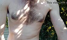 willywilliamson sep 14 2024