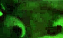 Blowjob ends with cum in mouth, then hot rides! 😏💦