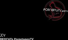 only the tip, but she got pregnant anyway, what a slutty creampie!