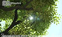 Hey, Miyuki Honda, Ready for That First-Time Wife Creampie Shoot?