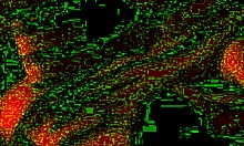 Real Homemade Wedding Moments With Bride