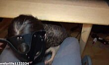 Secretary Sucks Cock Under Desk Until Cum In Mouth