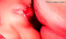 Stick it deep in my girlfriend's ass for quick cum