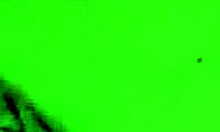 i love big cocks so much