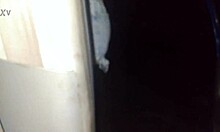 Teen in lingerie bends over for doggystyle blowjob on big cock at night