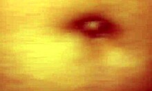 Amateurs dive into a casual threesome sex session