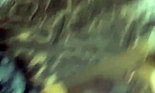 Busty Petite Hooker Sucks And Fucks.