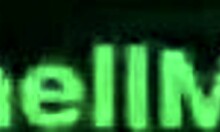 Stranger cums inside without condom calling me slut