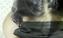 Creamy Cum Fills Mouth During Intense Blowjob