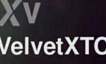 Baby Got Buns Casting Introduction