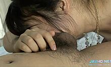 check out these japanese pussies for connoisseurs in vol 50