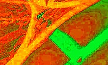 Exotic bluee displays pleasure as pussy licked homemade