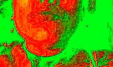 Exotic bluee displays pleasure as pussy licked homemade