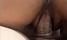 young virgin visits friend's apartment for group fun