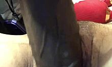 Muscular Babe with Juicy Big Pussy Lips Teases and Worships Ass