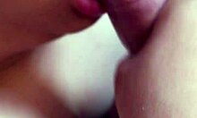 Dominican Bbw Gives Morning Blowjob To Cock