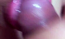 Dominican Bbw Gives Morning Blowjob To Cock