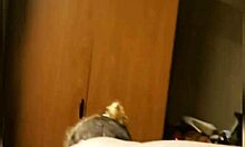 Pussy & Asshole Shaved Teaser With Big Black Cock