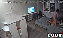 first swallow captured on amateur camera for subscribers