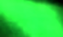 Amateur bbw milf scarlet doll performs deepthroat sucking