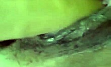 Dana Barzagli, that latina teen with tattoos, masturbates with dildo so good.