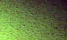 Amateur Couple Enjoys Friday Night Together