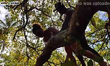 Living with Adam and Eve in a Wild Anal Paradise