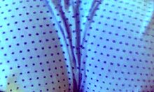 Stepfather Shocked by Latina Fuck Doll Anal Sex