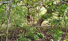 Living with Adam and Eve in a Wild Anal Paradise